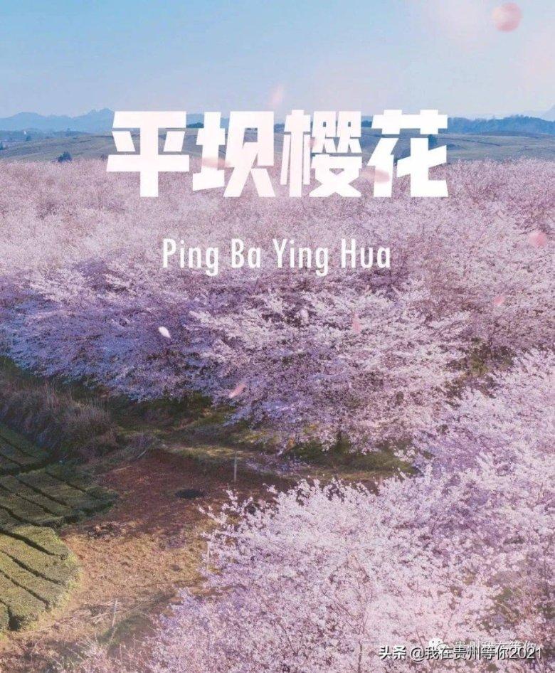 雷火官方网站入口